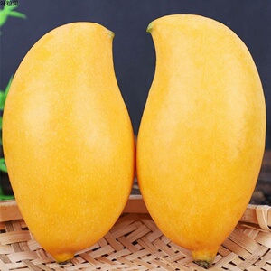 新鲜凯特鹰嘴芒果10斤热带新鲜水果现摘青应季整箱当季时令包邮