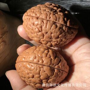 厂家三瓣脑纹核桃大尺寸金刚菩提子手把件保健球佛珠盘玩练手球