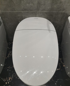 箭牌卫浴智能马桶简约全自动一体式家用抗菌坐便器ab1026