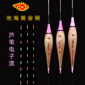 黄金眼专卖店官方正品芦苇电子漂夜光浮漂鲫鱼漂夜钓鲤鱼鲢鳙浮漂