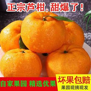 正宗福建永春芦柑橘子超甜当季孕妇冬季应季水果新鲜甜桔子椪碰柑