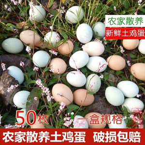 湖北特产农家散养新鲜土鸡蛋荆州石首监利公安绿壳鸡蛋土特产50枚