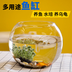 小鱼缸客厅小型乌龟鱼缸二手透明龟缸家用水培器皿植物花盆容器ss