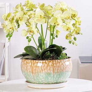 蝴蝶兰花盆特e大号28cm花盆陶瓷红福花盆中国风瓷花盘兰花绿植花