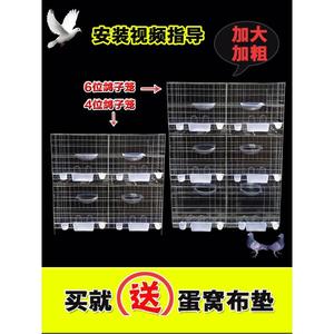 鸽子养殖笼鸽子笼加粗2位4位6位配对繁殖巢箱家用阳台鸽笼鸟笼子
