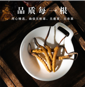 2021冬虫夏草铁棍山药正品50克头期虫草干货无断草礼盒精选混合装