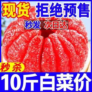 【现货】福建平和琯溪红心柚子红肉蜜柚新鲜水果红心柚薄皮10斤