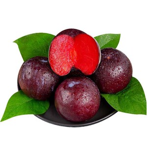 正宗新疆恐龙蛋特产龟兹龙珠红布林李子孕妇水果新鲜当季整箱味帝