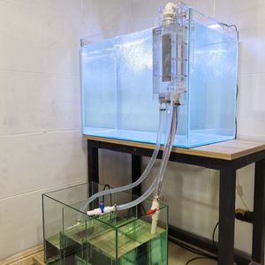 虹吸鱼缸鱼便分离器