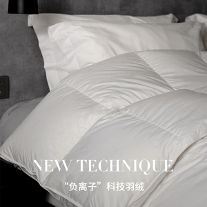 北天鹅负离子95白鹅绒冬被全棉加厚保暖180支贡缎抗菌羽绒被8801