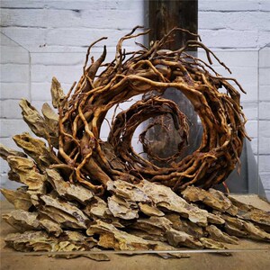 f骨南美木水草杜鹃根树洞拼接枝条虫洞造景v架沉须根微观