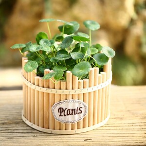 木制手工花盆创意