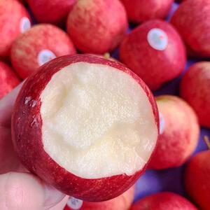 法国智利果加力果姬娜新鲜进口水果佳丽果嘎啦苹果嘎啦/加力散装