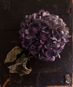 干绣球花-淘宝拼多多热销干绣球花货源拿货 - 阿里巴巴货源