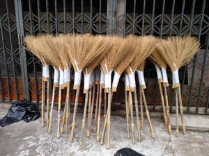 观音草金丝草铁扫把把环卫笤帚马路扫落叶庭院专用大扫帚车间用