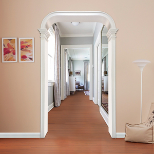 弧形门套拱形客厅