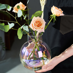 苏渠北欧大肚子圆球透明玻璃瓶花瓶水养鲜花插花玫瑰客厅餐桌摆件