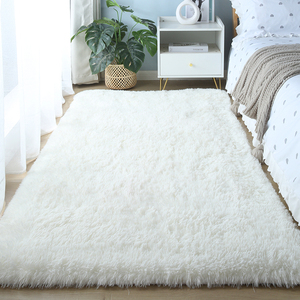 家用卧室地毯加厚白色毛绒床边毯房间客厅ins风简约毛毯地垫定制