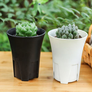 万象盆网红多肉花盆圆形侧开孔控根塑料加厚磨砂桌面花盆高腰玉露