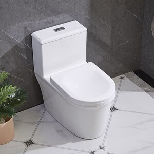 帝王洁具马桶坐便器家用卫生间普通一体虹吸式座便器陶