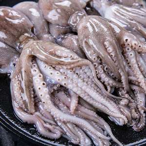 新鲜大章鱼f八爪鱼鲜活足海鲜冷冻整只迷你爆头鱿鱼非冷冻须米