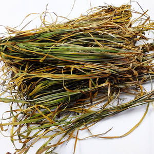 新品贵州山菖五香草10手g干茴香菖蒲山赖干农家干u货萘蒲随0香非