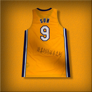 鄱阳湖人设计孙悦9号刺绣球衣定制双层黄色紫色尼克斯篮球服定做