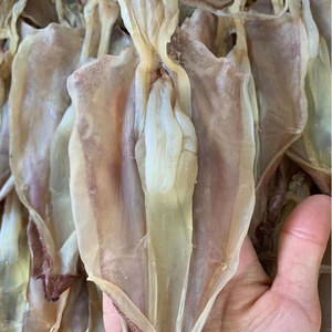 福建东山鱿鱼母带卵本港鱿鱼干有籽淡干海鲜特产水产干货淡晒dpmb