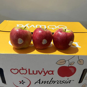 进口苹果新西兰神仙果中果12粒脆甜多汁新鲜红苹果当季孕妇水果