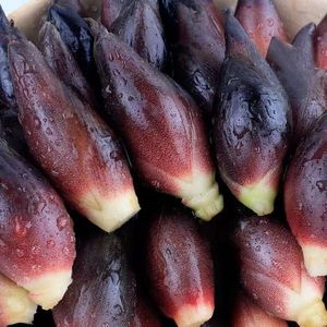 现挖现摘新鲜洋荷姜非野生盐荷洋火姜藿阳和姜当季蔬菜阳和姜3斤