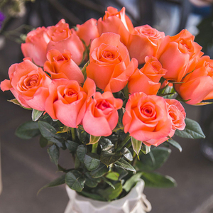 90萌萌哒的裙子淘宝影星玫瑰艳粉玫瑰云南