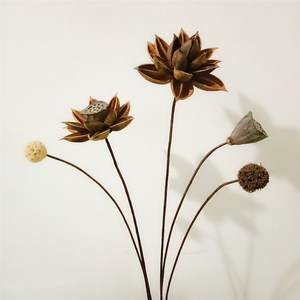 禅意干花组合套装