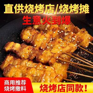 烧烤调料香辣撒料孜然粉东北锦州烧烤店同款商用干蘸料组合全套装