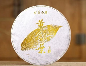 福鼎白茶黄金叶2019年荒野冬片寿眉老树叶质厚清香扑韵香包装送礼