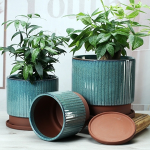 君子兰专用花盆客厅大号