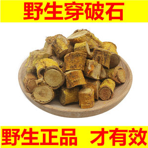 野生穿破石中药材川破石根九层皮金腰带地棉根 拉牛入石500克包邮