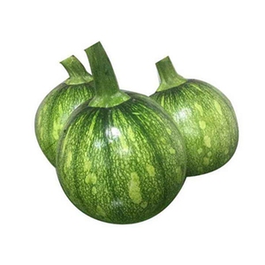 一串铃青皮花皮南瓜种子 嫩早小南瓜籽 春季农家田园 蔬菜种子