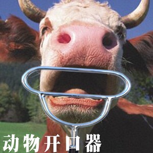 牛用开口器