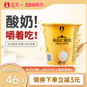 新疆滋芙燕麦仁酸奶低温代餐健康营养风味酸乳118g/杯*10