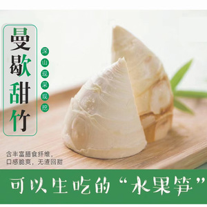 西双版纳甜笋云南思茅甜龙笋新鲜竹笋曼歇现挖现发马蹄笋生吃水果