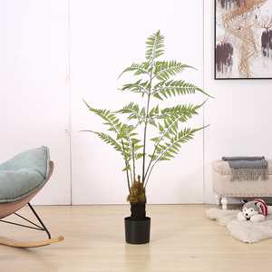 新真猴头蕨植物金丝猴草假树室内自然g禅意绿植物盆栽金毛狗蕨摆