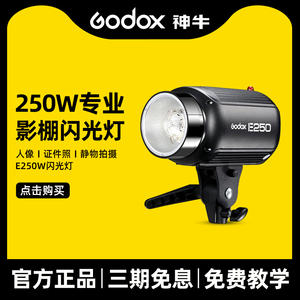 Godox神牛200W E250W摄影闪光灯摄影棚灯套装证件照补光灯拍照静物灯电商拍摄服装小型影棚灯食品拍照灯