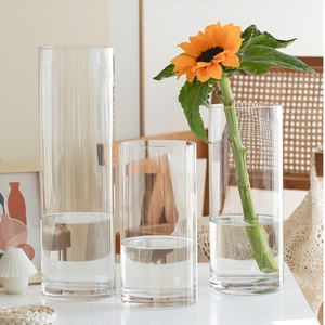 富贵竹玻璃杯透明花瓶微景观空瓶子插花植物摆件富贵竹水培直筒杯