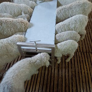 喂羊食槽羔羊开口料槽高低随意调节长毛头窟猪猪长条保暖加厚厂家