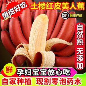 正宗特级海南红美人香蕉咖啡蕉9斤当季新鲜水果红紫香蕉精选顺丰9