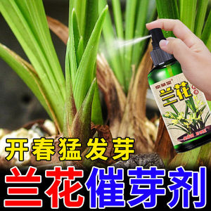 兰花专用爆芽剂【免稀释】促生根催芽催花兰草花营养液植物通用型
