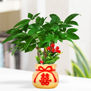 00荣盛香行淘宝2022新年春节迷你小福字门贴花盆冰箱虎年喜字贴大吉