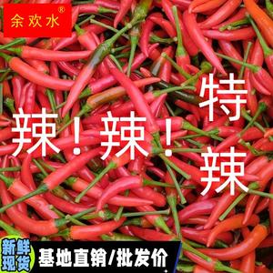 新鲜现摘小米辣椒自家农户种植朝天椒蔬菜5斤特辣大红椒泡椒包邮