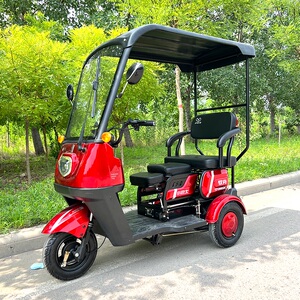 小巴士驭舟电动车亲子三轮车h40老年成人接送孩子带棚双人电瓶车