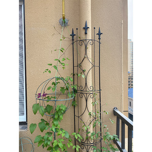 落水管柱子装饰架 半圆爬藤花架 蔷薇月季丝瓜攀爬架户外铁艺花架